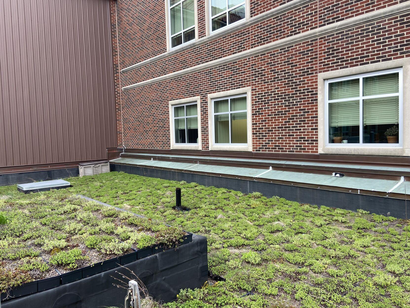 Green roof laboratory atop Delon and Elizabeth Hampton Hall of Civil Engineering | Campus ...