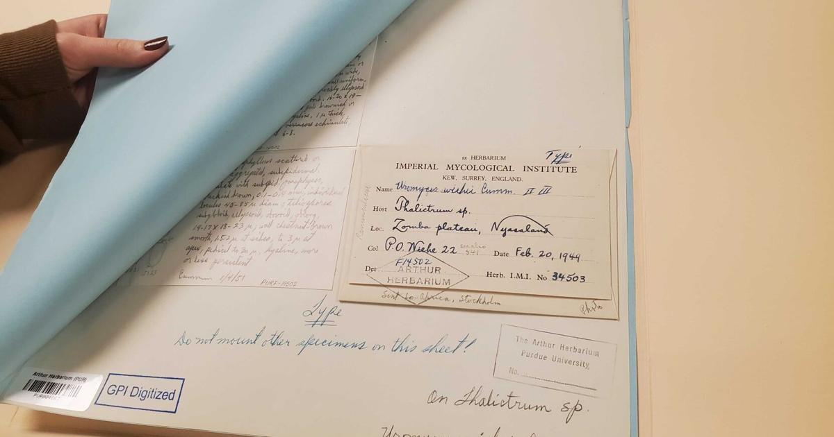 A Purdue curator's appreciation of cursive | Campus | purdueexponent.org