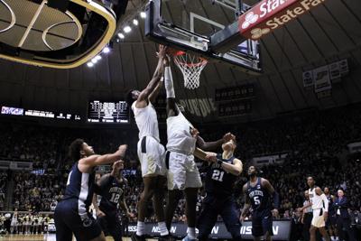 Home Loss To Penn State Drops Purdue In Ncaa S Net Rankings
