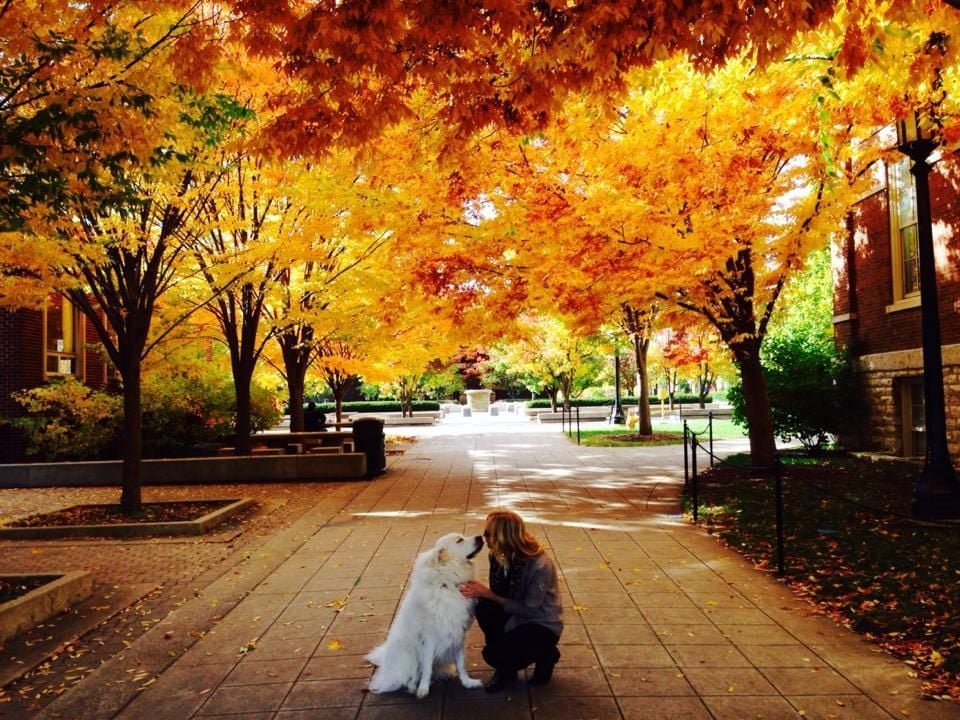 Purdue considered one of best fall foliage campuses | Features | purdueexponent.org