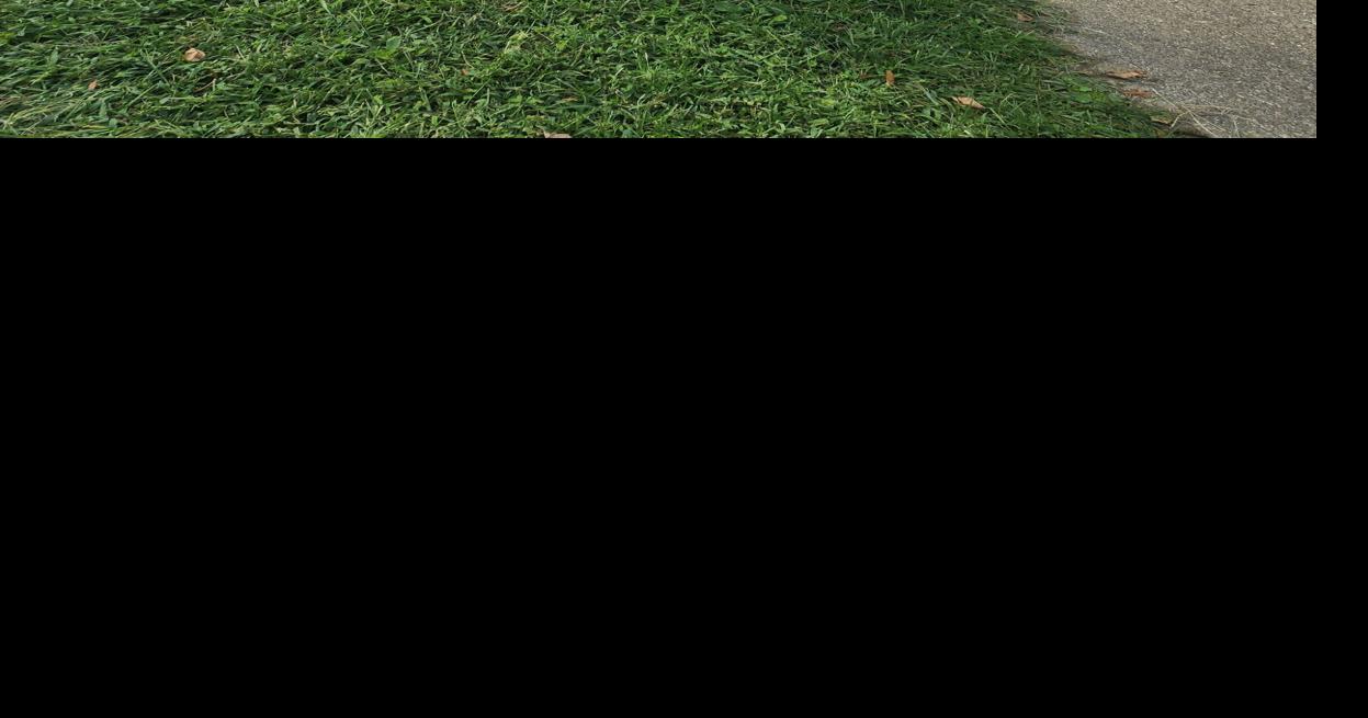 9/6/22 Waldron Apartments City & State