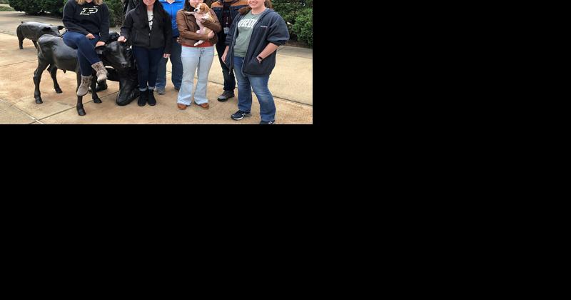 Purdue lab creates genetic testing for helping dog breeders eliminate some diseases - Vimarsana News