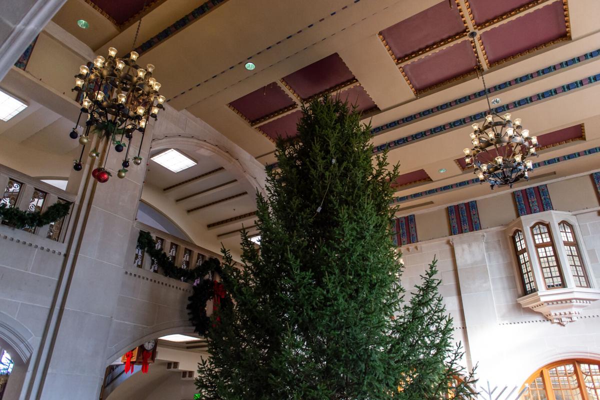 Purdue Christmas Tree 2022 Christmas Tree Arrives At Purdue Student Union | Campus | Purdueexponent.org