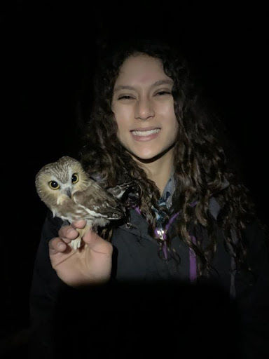 Elusive, shy owls intrigue student researchers who study their