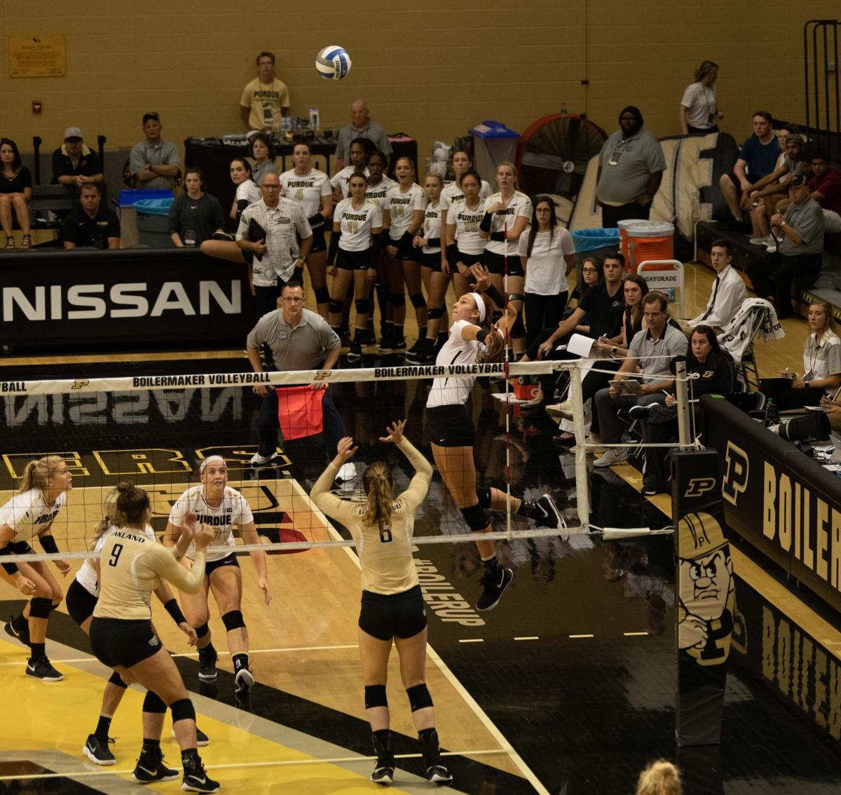 9/1/18 Women's Volleyball vs Oakland Gallery