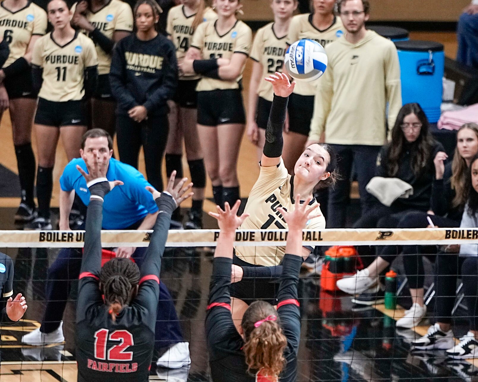 Boilers Hammer Stags To Advance To Second Round For Ninth-straight Year ...