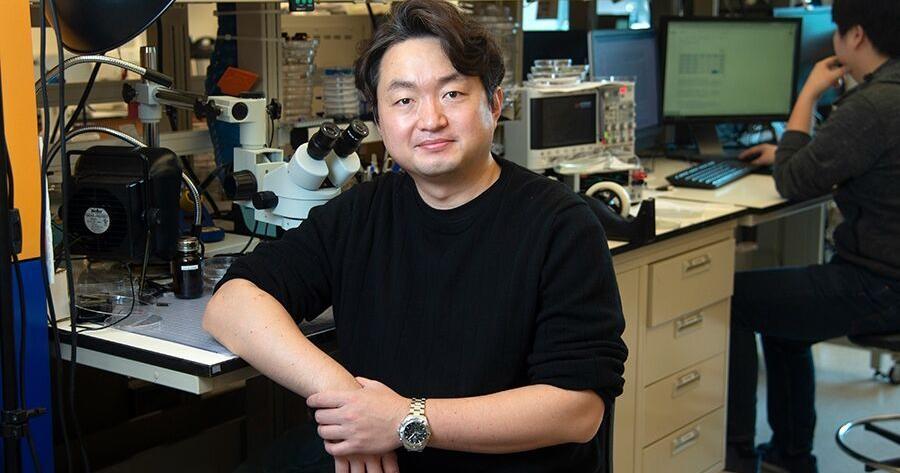 George Mccabe Purdue prof granted fellowship in AIMBE | Campus | purdueexponent.org