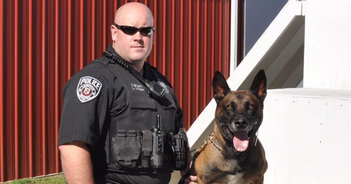 Illinois man bit by LPD K-9 sues officers in federal court | City State ...