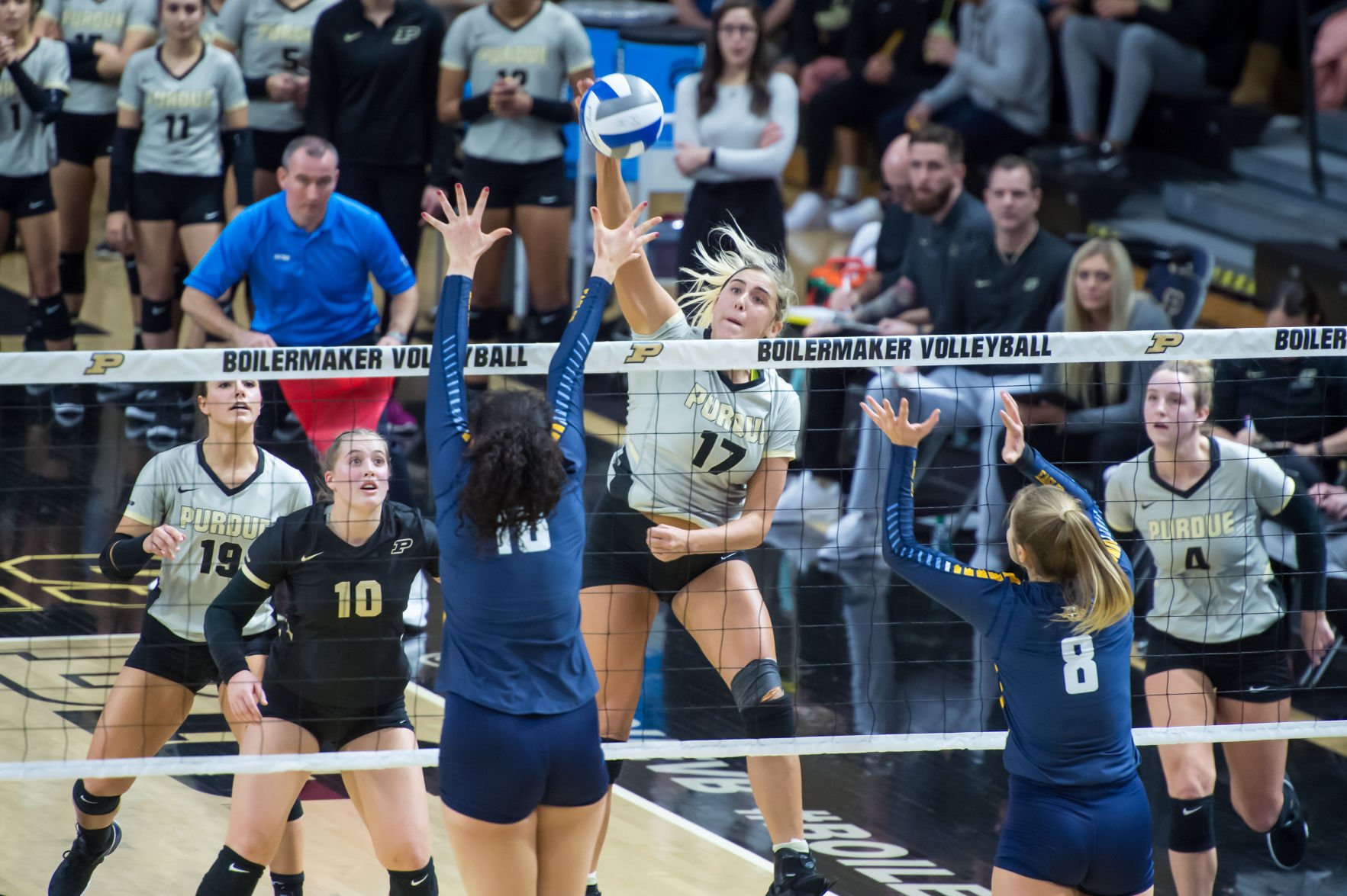 Purdue volleyball advances to the Sweet Sixteen Volleyball