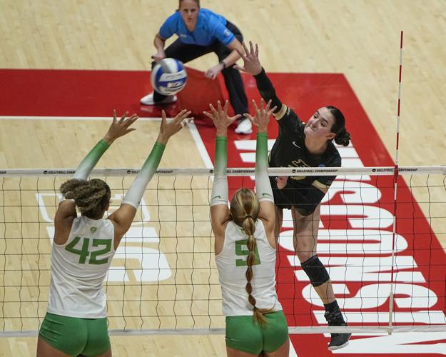 Purdue falls in Sweet Sixteen Volleyball