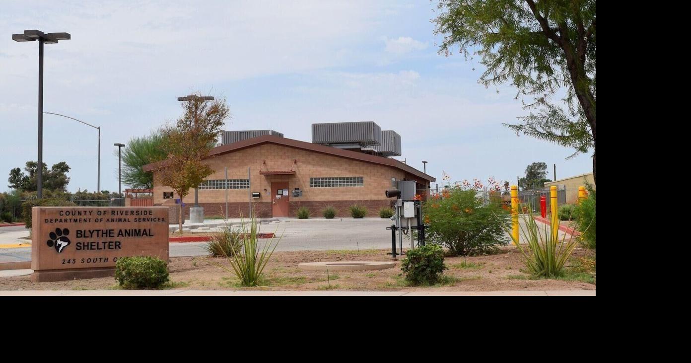 Blythe Animal Shelter hosting free spay, neuter event Jan. 10: Plus, free dog wellness clinic Jan. 11 | Blythe News