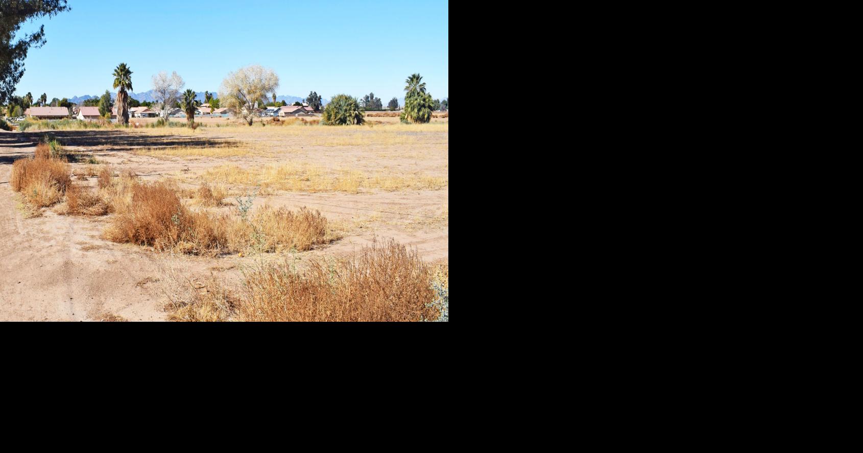 Palo Verde Center announces plan to build 86 new homes in Blythe