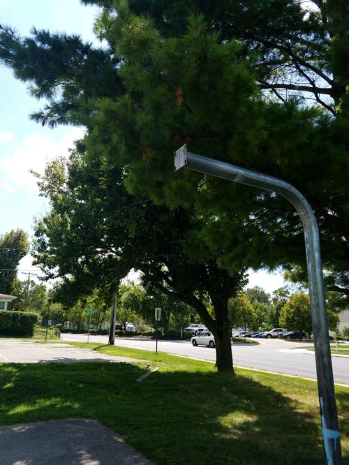 082619-mda-nws-lincolnpark