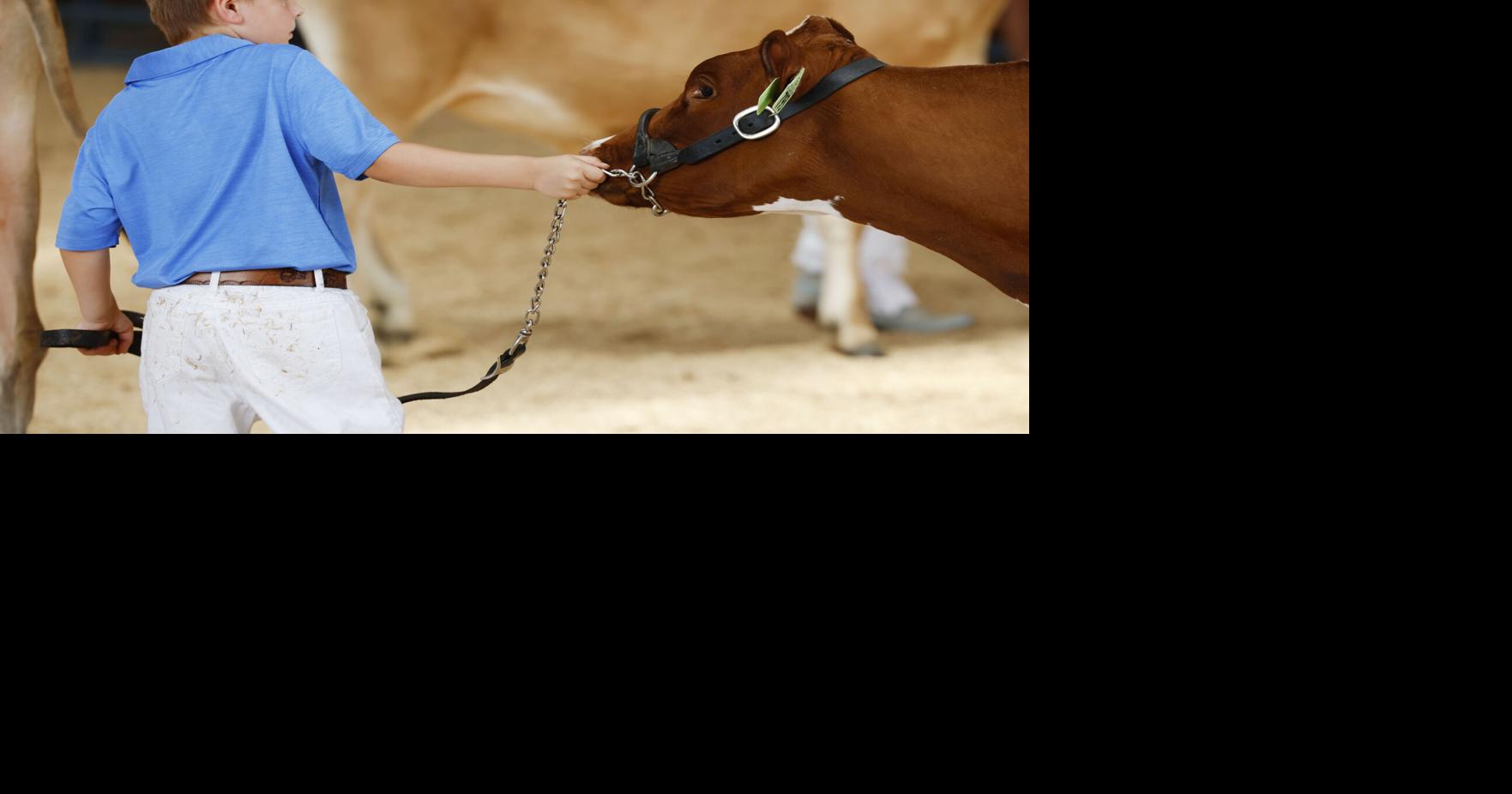 Photos: Mississippi Valley Fair's opening day