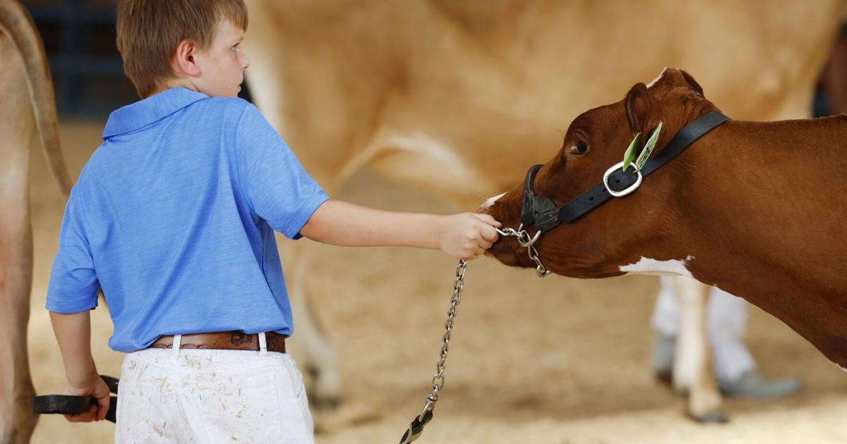 Photos: Mississippi Valley Fair's opening day