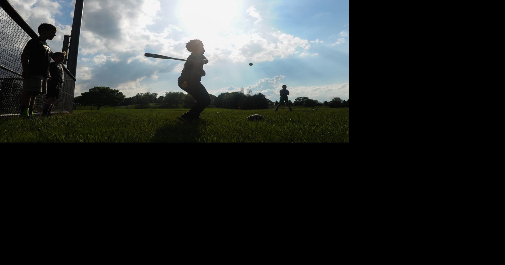 Photos 2018 Geneseo baseball