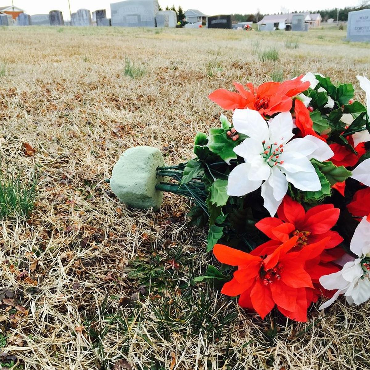 A Fitting Tribute Eco Friendly Alternatives To Gravesite