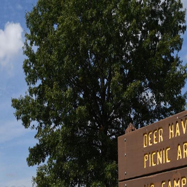 Trust Keeps Giving Back To Loud Thunder Forest Preserve Local News Qconline Com