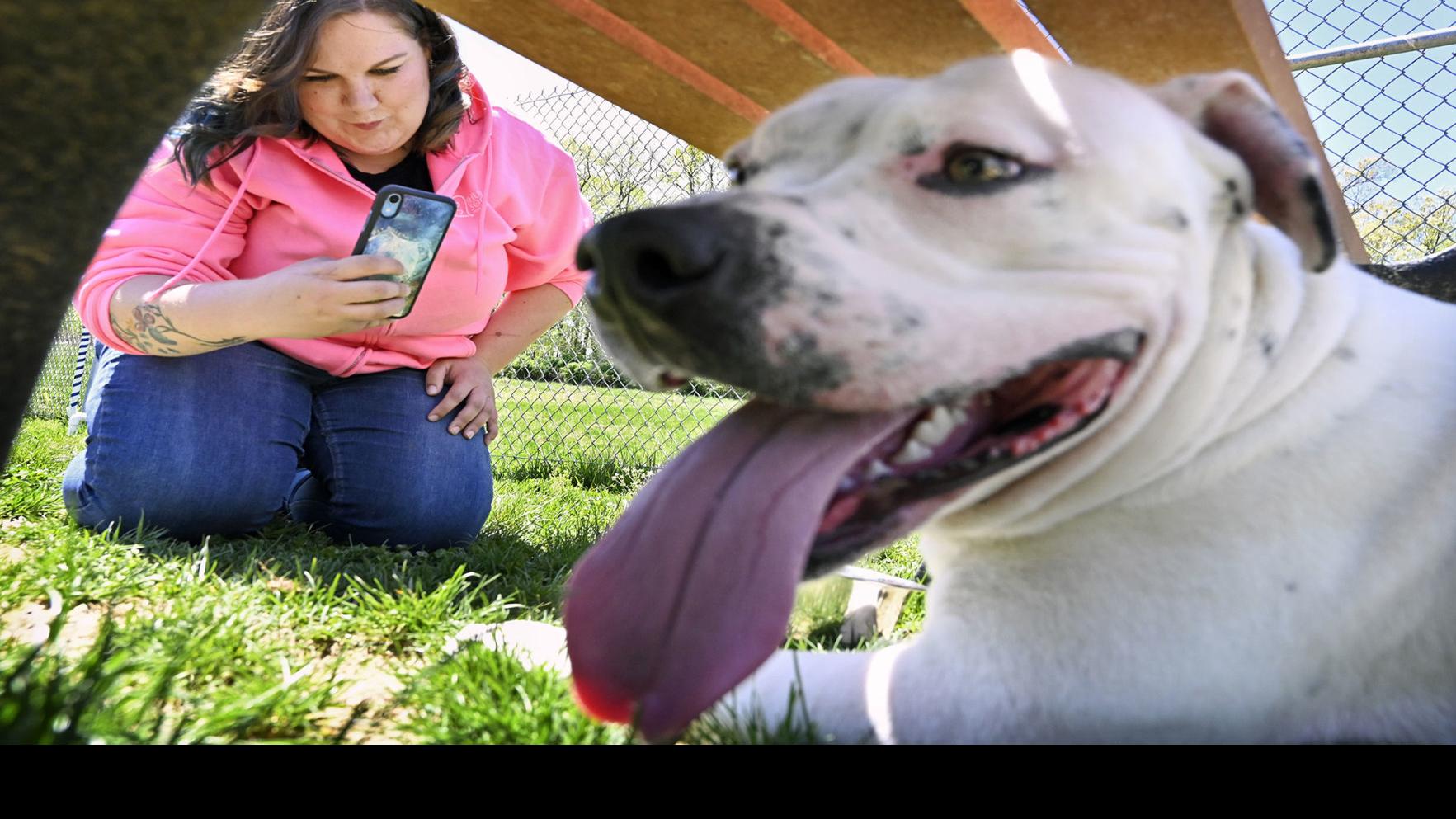 Photographers Show Off Shelter Animals Best Sides To Get Them