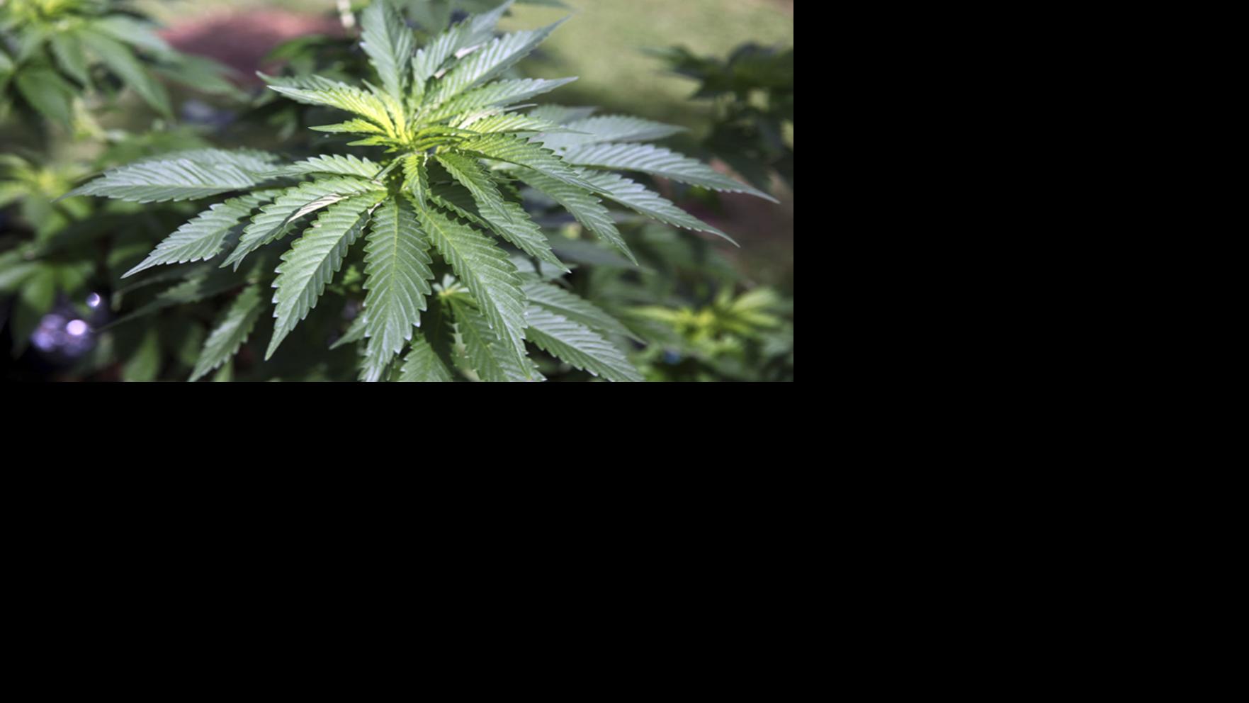 MOLINE CITY COUNCIL VOTES 5-3 FOR CANNABIS BUSINESS ZONING