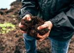 Westland Peat