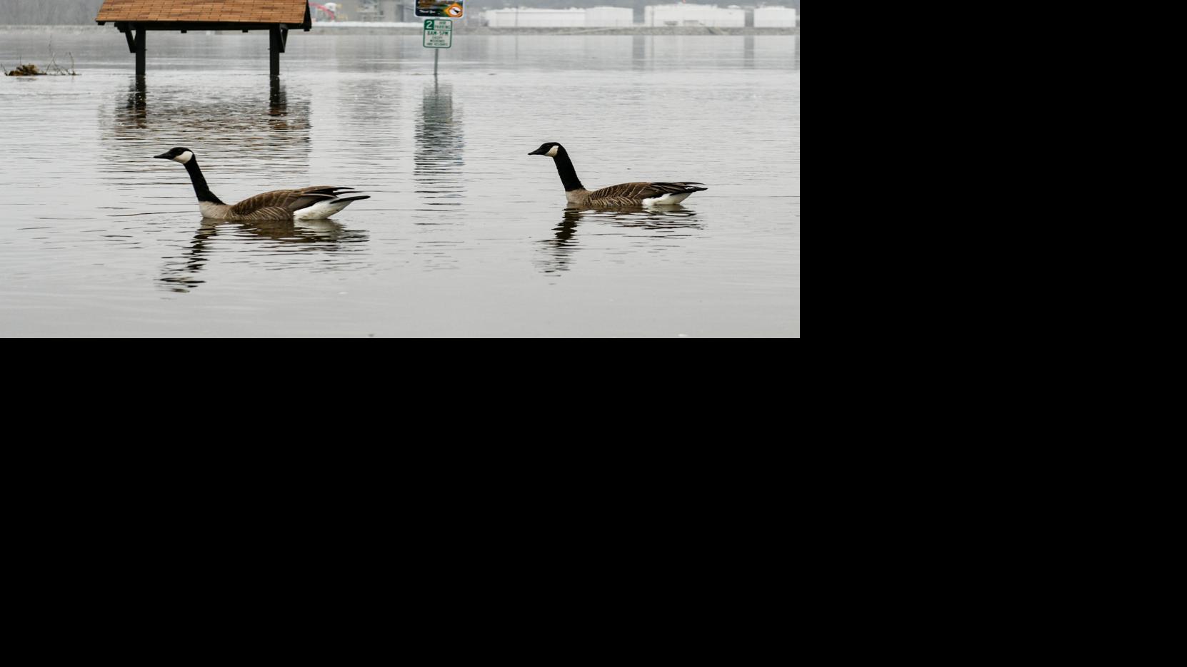 Flood Forecast For Mississippi River At Rock Island