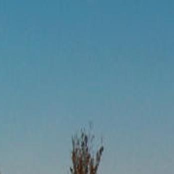 Creating The Avion New Car Amazing Mileage Life Qconline Com