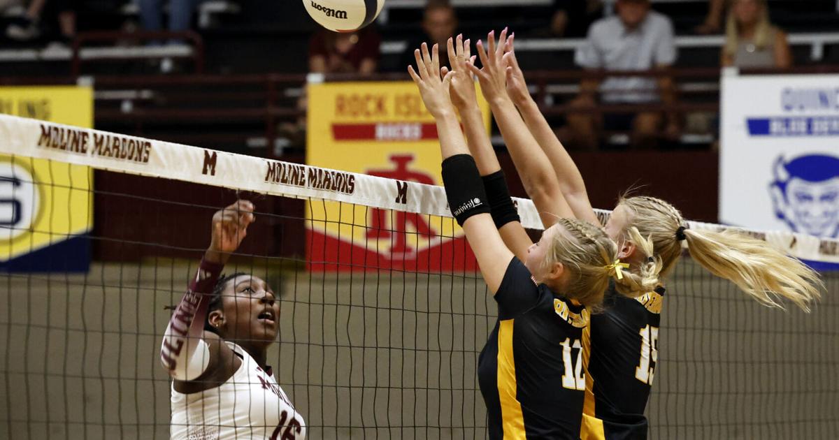 Photos: Moline vs Riverdale volleyball