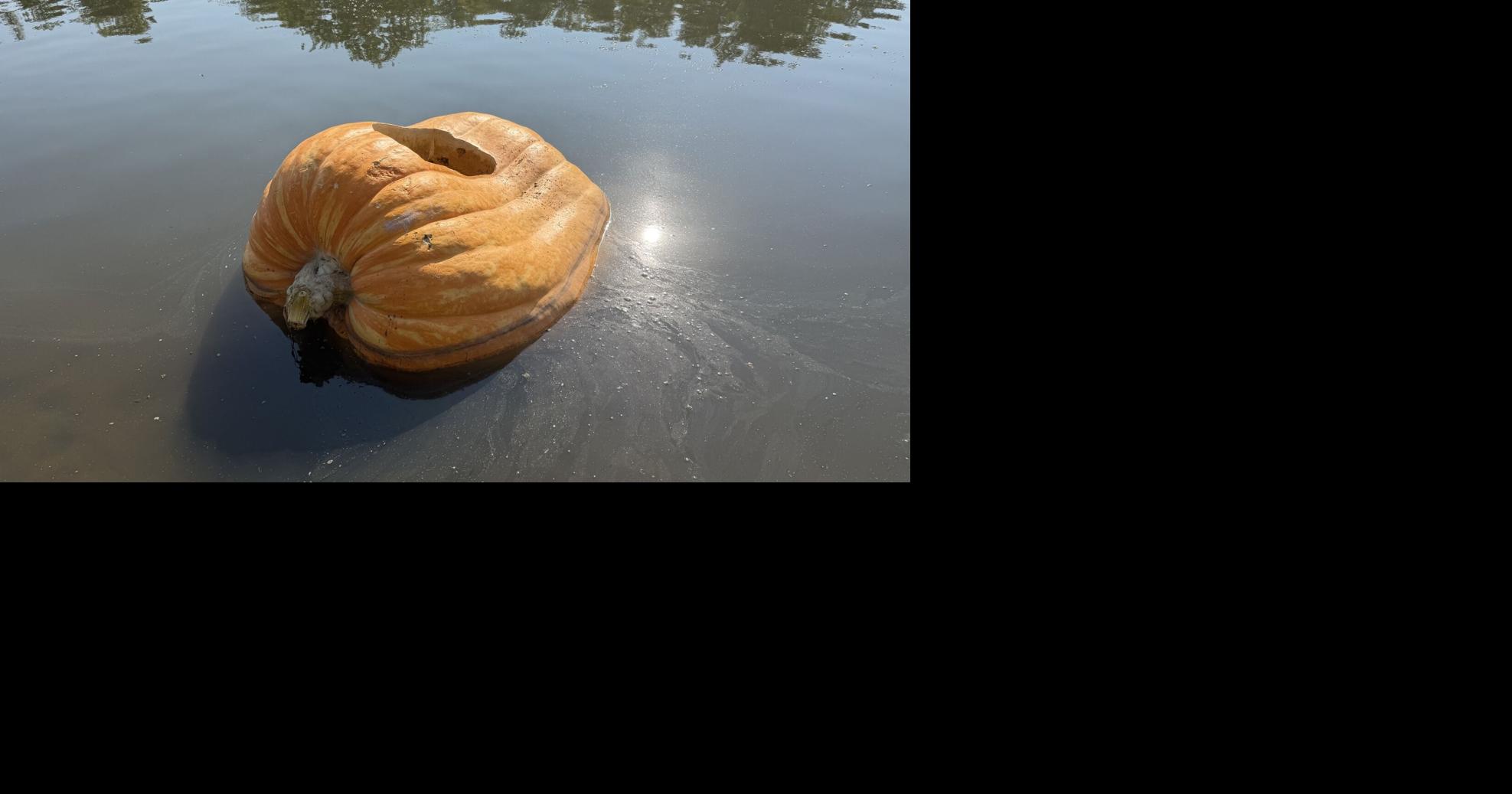 The great pumpkin mystery: Huge pumpkin floating at Sunset Park