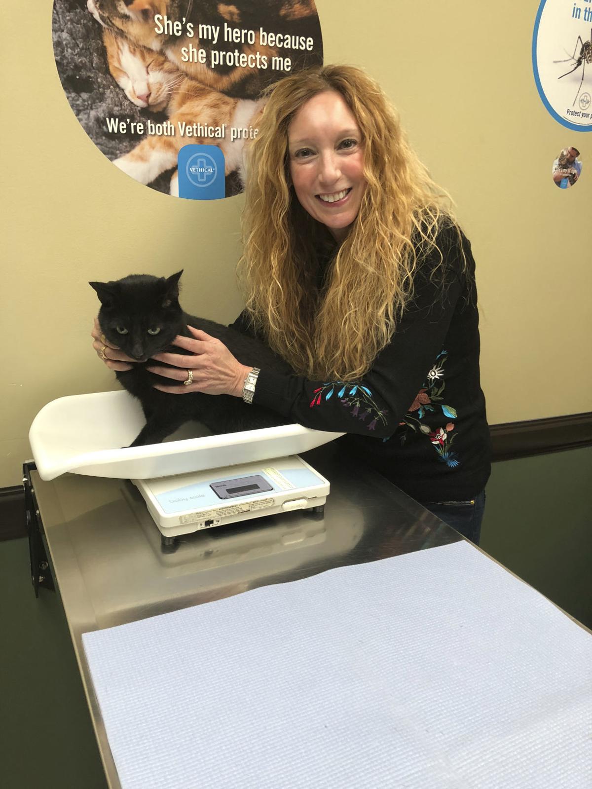 Can Cat Whisperer Tame Crazy Feline Pet Profiles Qconline Com