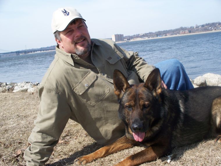 german shepherd puppies quad cities