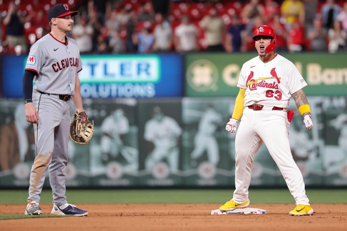 How Cardinals