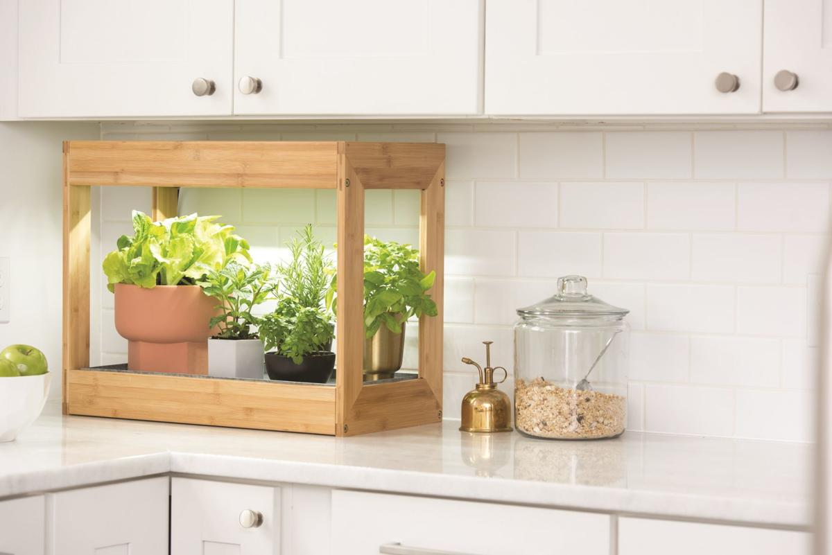 Lighted Plant Boxes Look Like Furniture Home Garden Qconline Com