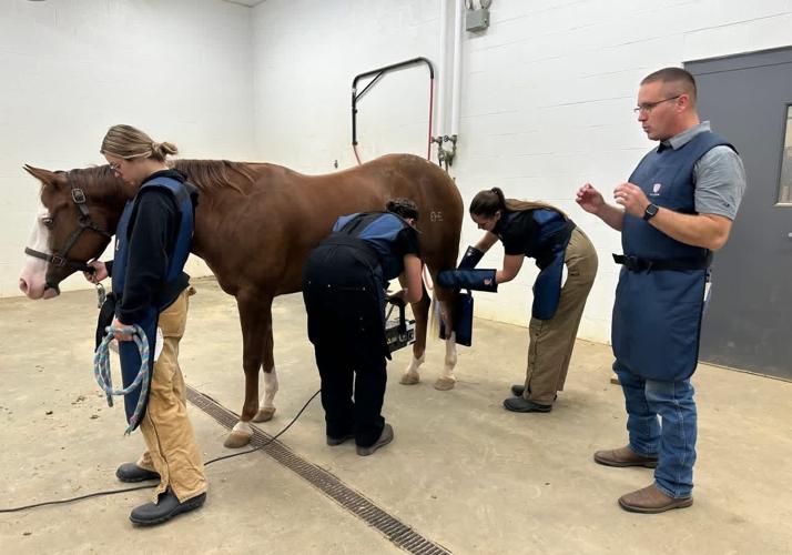 Turning Passion Into Practice: A Vet Tech Success Story