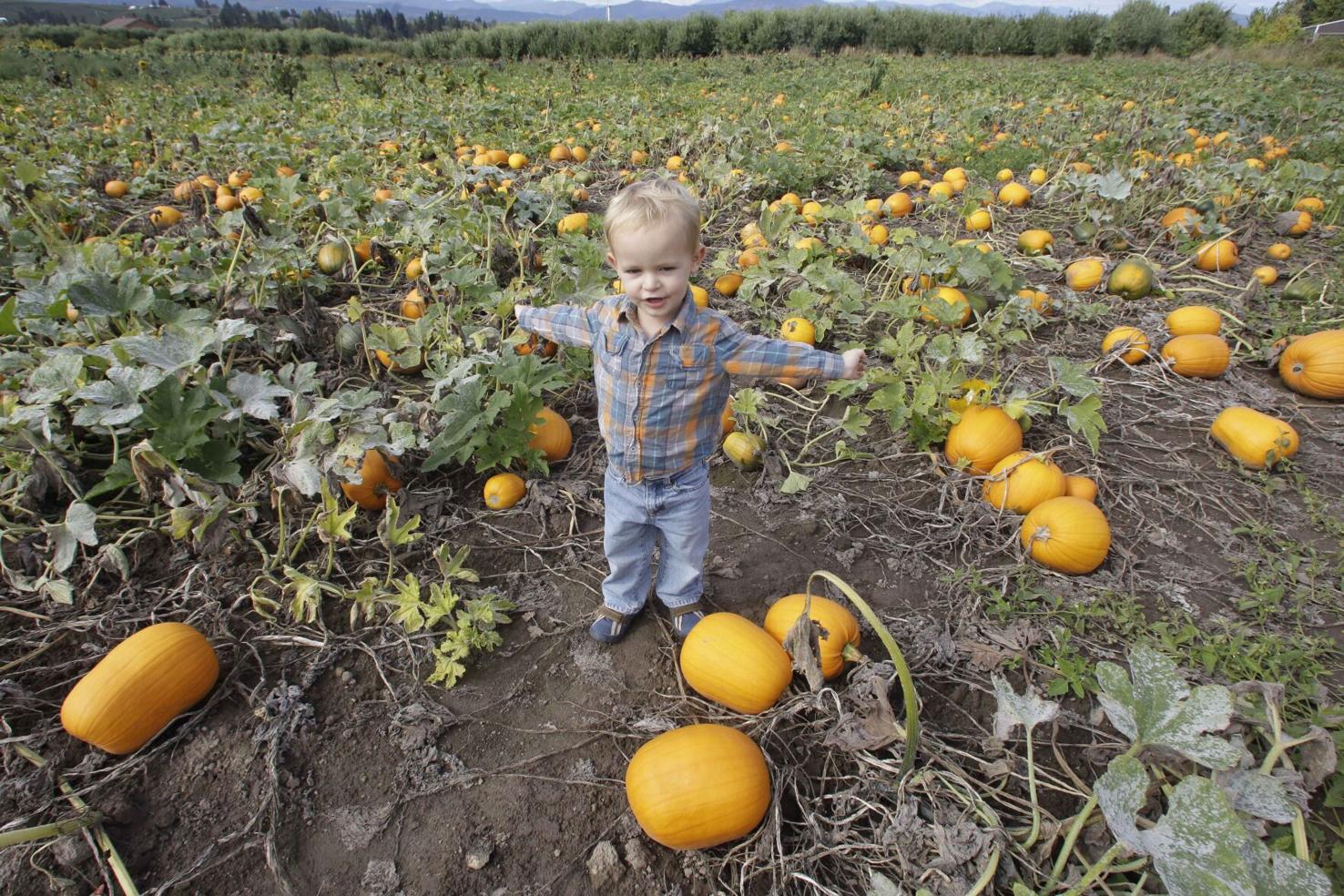 Fall equinox 2020: What to know about change of seasons ...