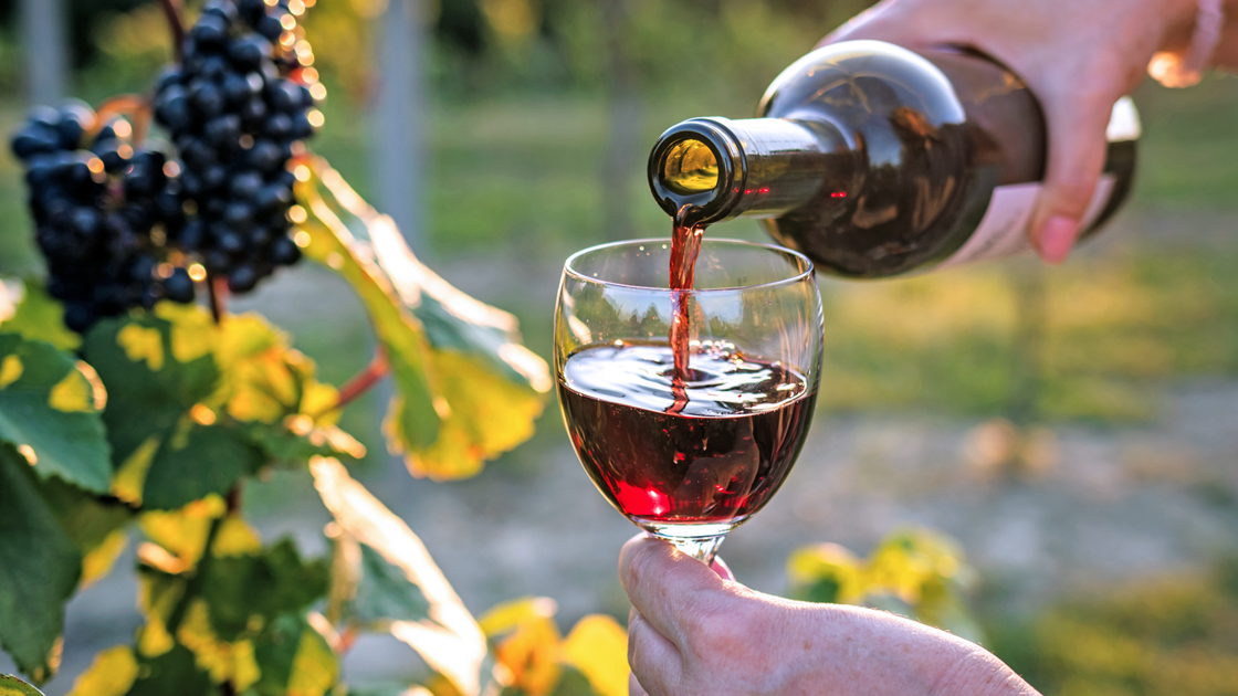 4 factors that make California wine different | Food & Cooking