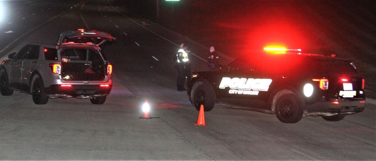 Fatal hit-and-run