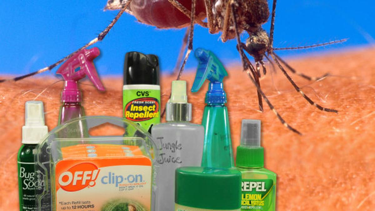 Pick Your Weapons For Battling The Attack Of The Annoying Insects Life Qconline Com