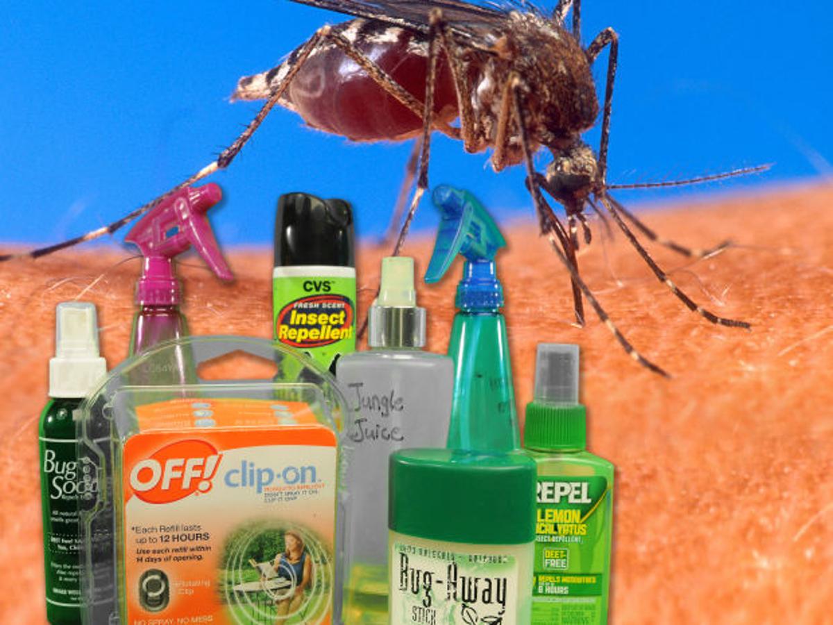 Pick Your Weapons For Battling The Attack Of The Annoying Insects