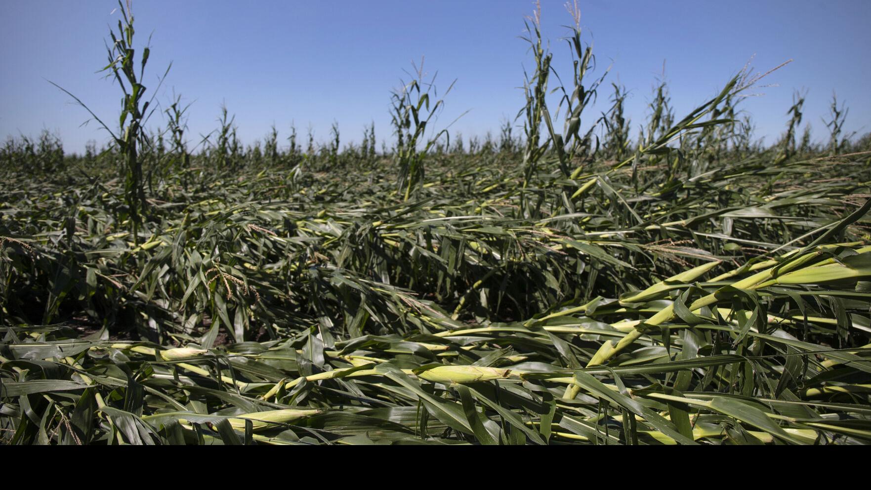 Nearly 5 400 Iowans Register For Fema Aid For Derecho Damage Local News Qconline Com