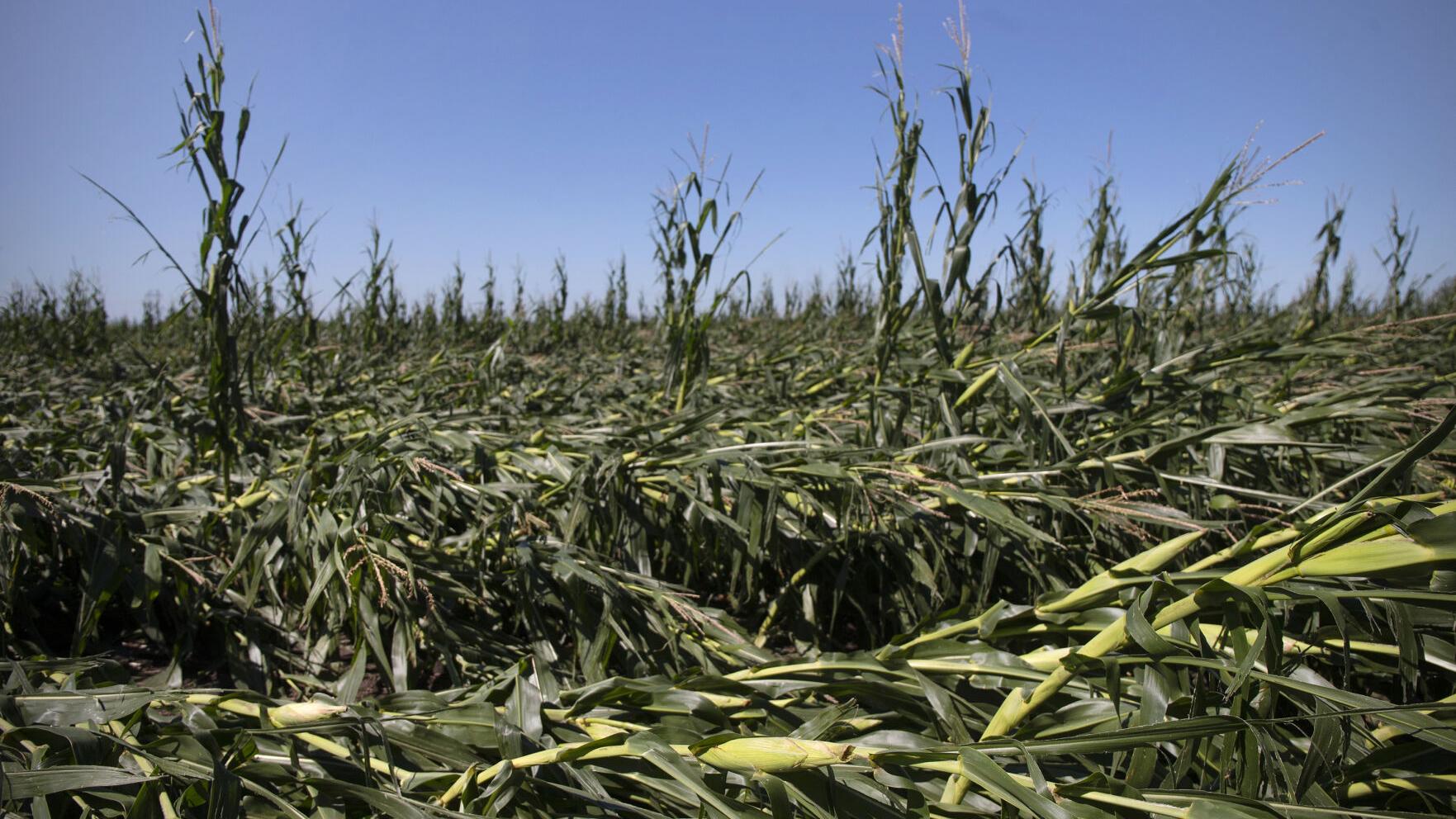 Nearly 5 400 Iowans Register For Fema Aid For Derecho Damage Local News Qconline Com