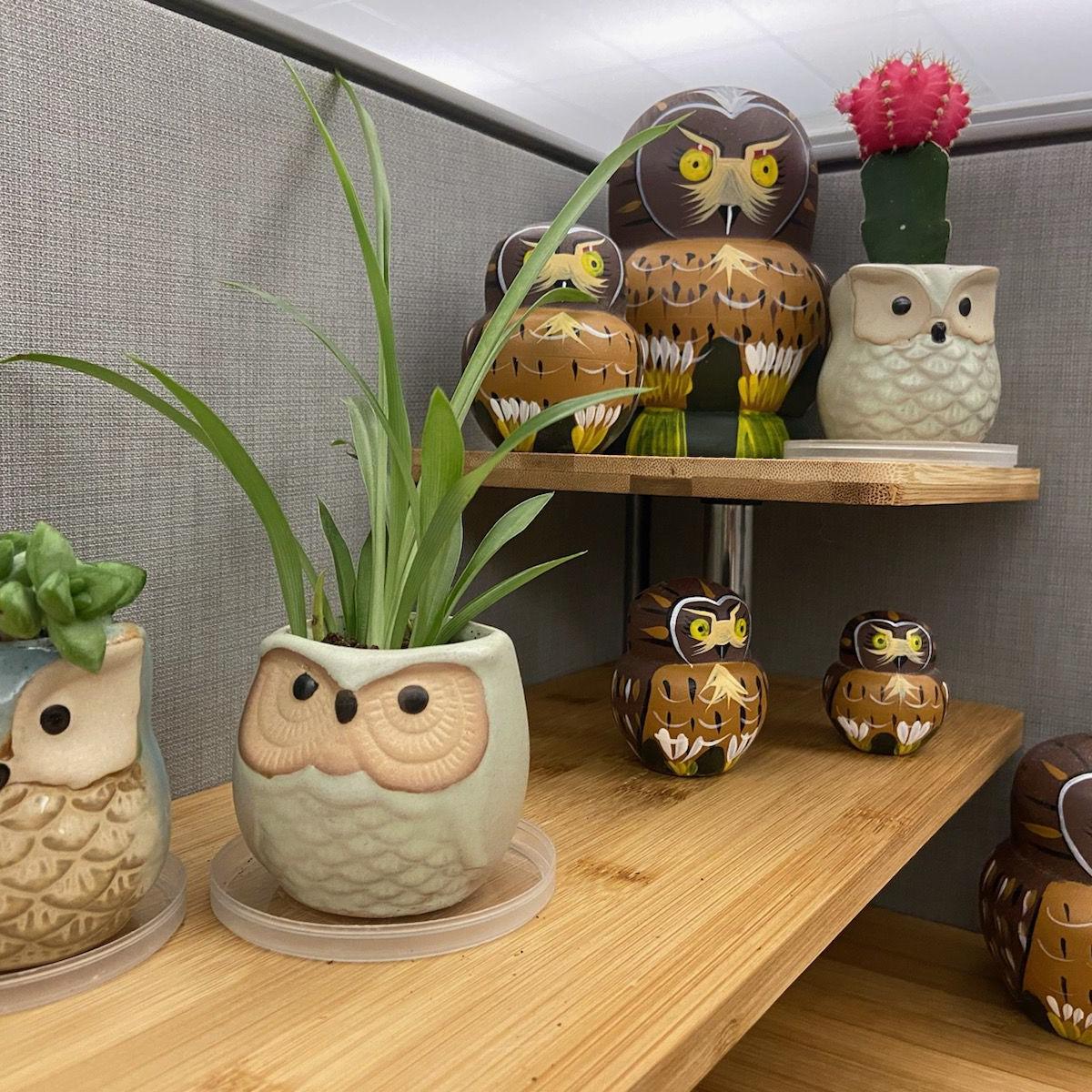 Owl Themed Objects Add Color Zest To This Davenport Work Space Home Garden Qconline Com