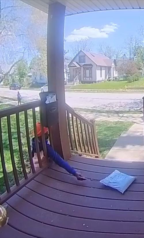 porch pirate1.jpg