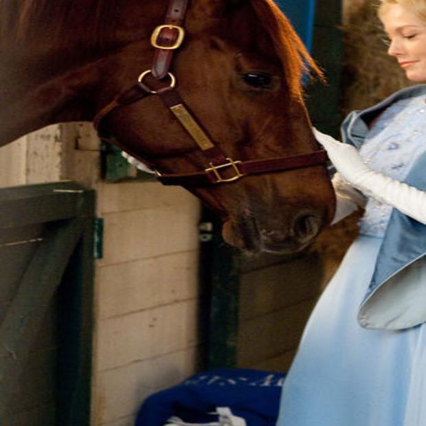 Horse Power The Story Of Secretariat Life Qconline Com