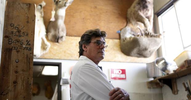 Taxidermist explains how he preserved Lady Gaga's meat dress for the Rock  Hall of Fame