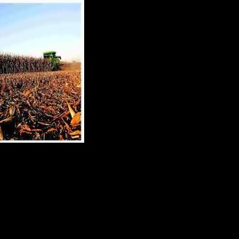 Farmers found to have fewer cases than most