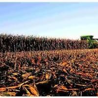 Farmers found to have fewer cases than most