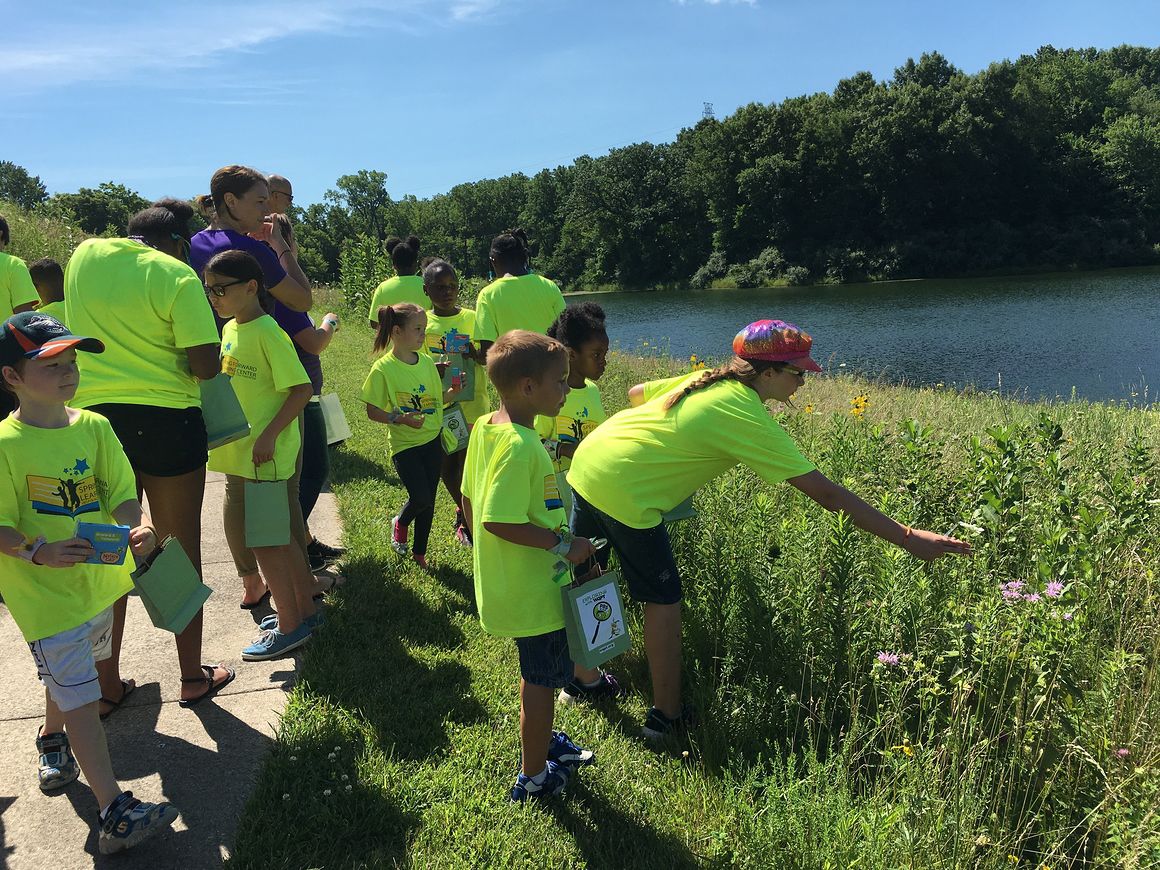 Connecting Kids And Nature Summer Camp Offer Free Outdoor Education Recreation Qconline Com