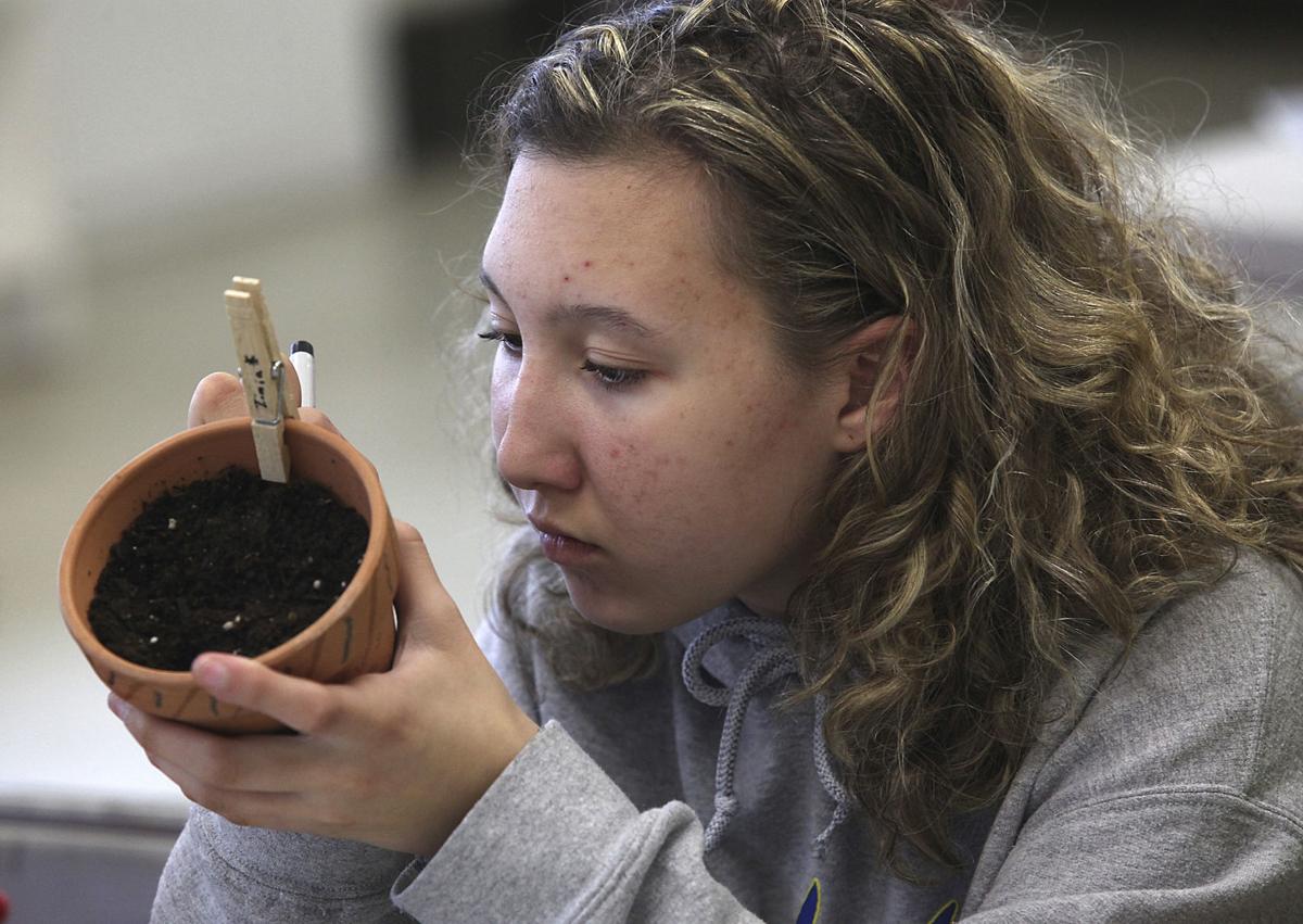 Quincy teens know firsthand how their gardens grow