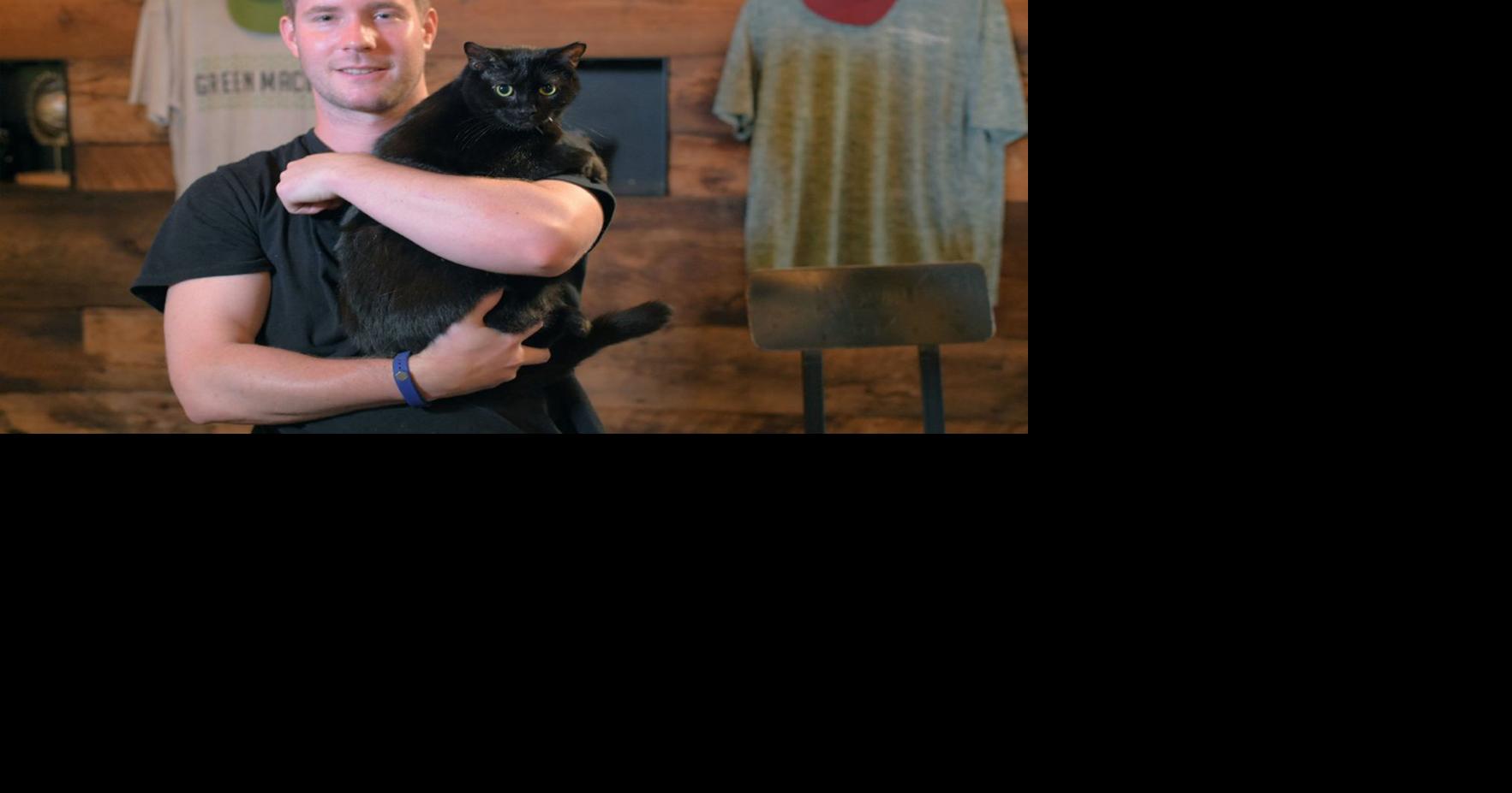 Working Cats program gives hard-to-adopt felines jobs